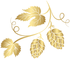 Une illustration d'une branche de houblon.